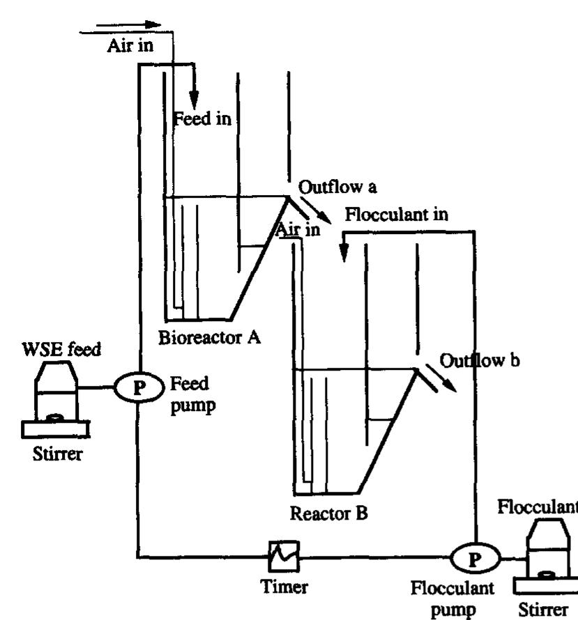 Schematic diagram of laboratory scale bioreactor (a) and