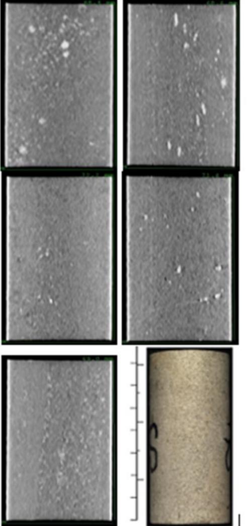 (PDF) Comparing Centrifuge, Steady-State and Semi-Dynamic Methods for ...