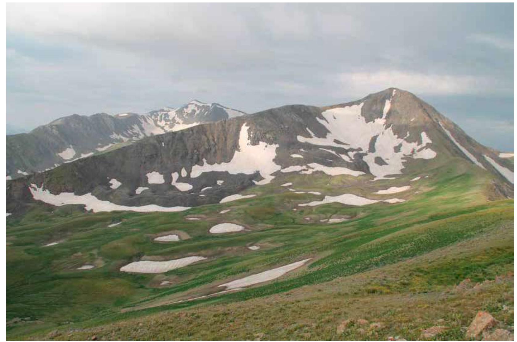 Fig. 2: View of Saimaluu-Tash 2.  (Kyrgyzstan). Saimaluu-Tash 2 is still used for horse 