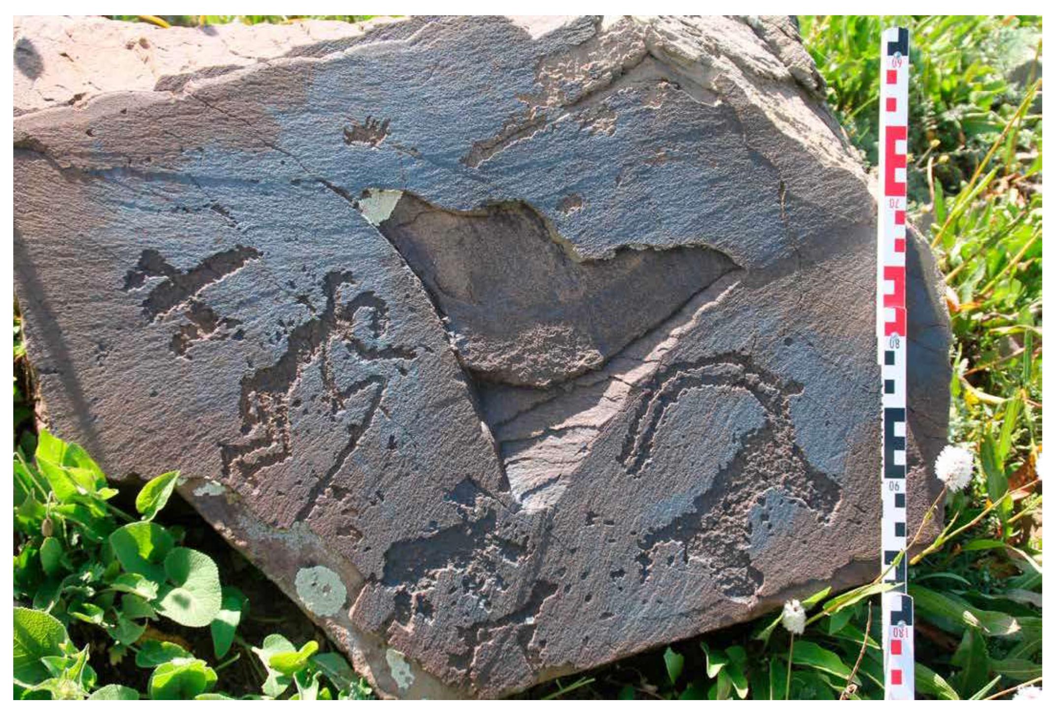 Fig. 4: Saimaluu-Tash 1, rock 2192. 
