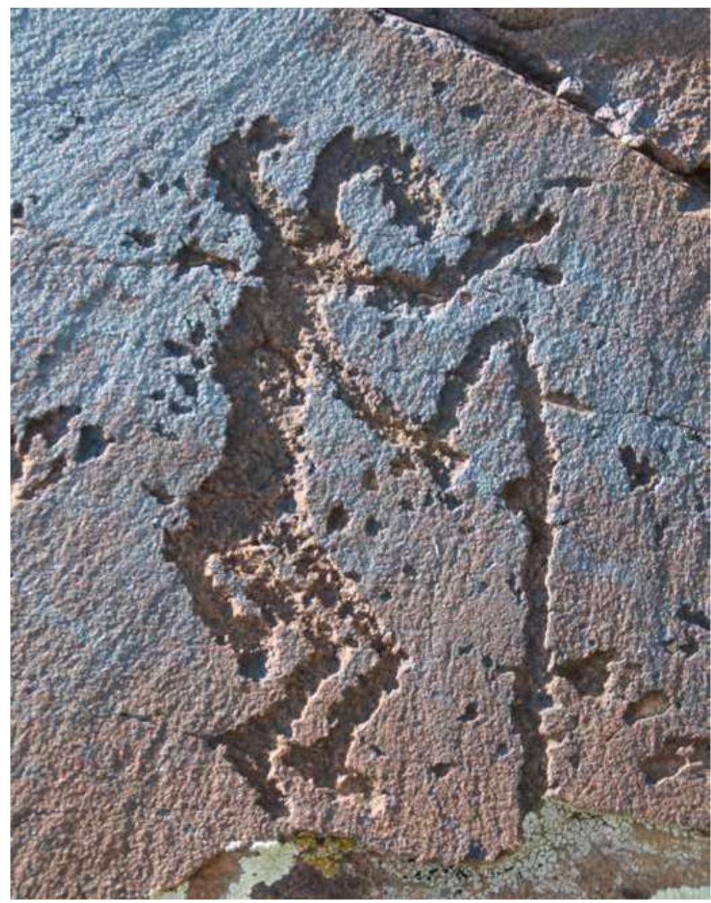 Fig. 5: Saimaluu-Tash 1, rock 2192 (detail) (10 x 17 cm). 