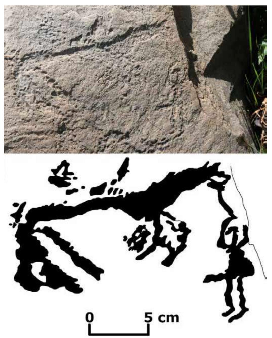 Fig. 8: Saimaluu-Tash 1, rock 1505 (detail).  Fig. 7: Saimaluu-Tash 1, rock 456 (30 x 37 cm). 