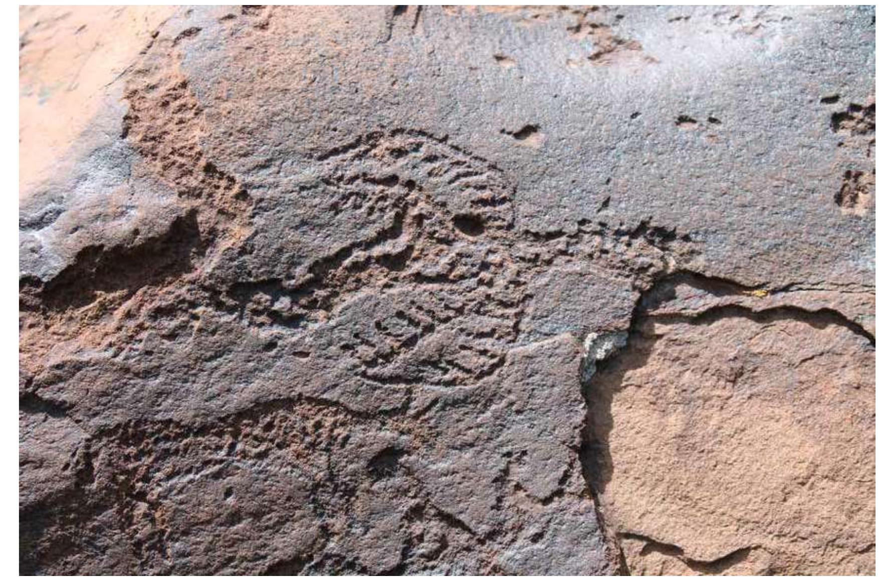 Fig. 12: Saimaluu-Tash 1, rock 1381 (13 x 8 cm).  Fig. 11: Saimaluu-Tash 1, rock 2027 (bird-head anthropomorph: 13 x 27 cm). 