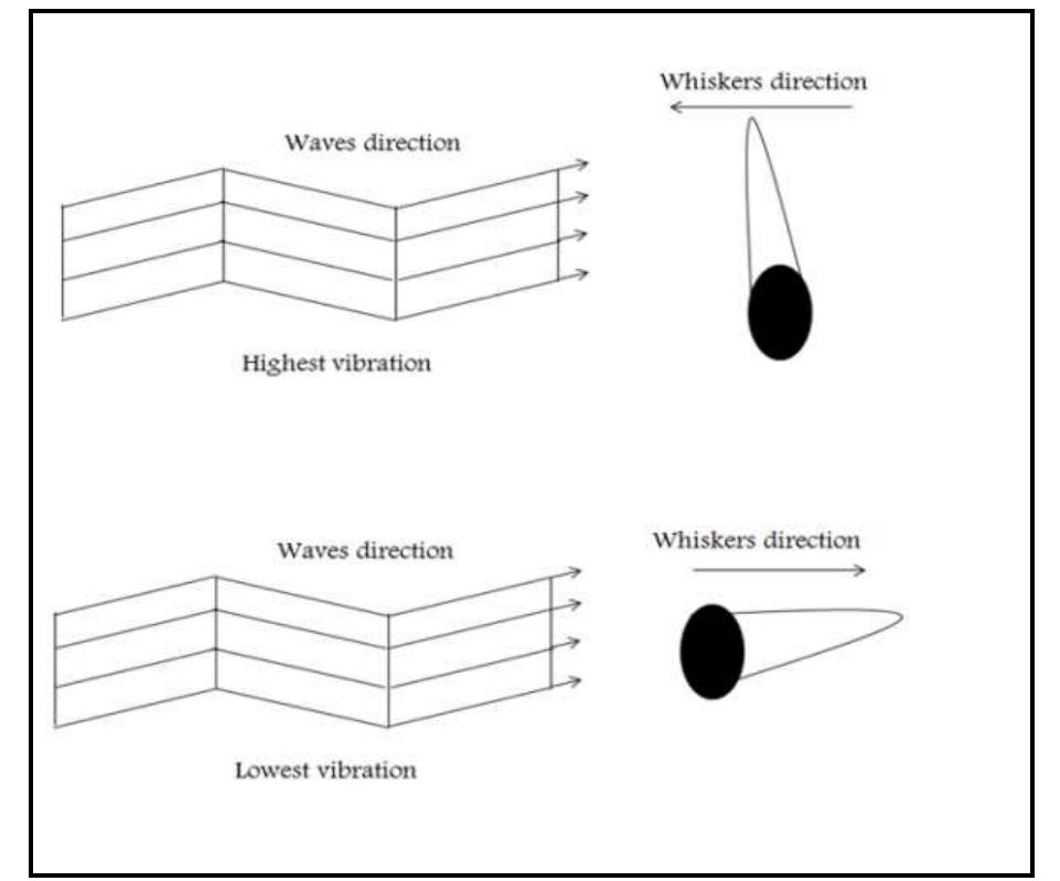 (PDF) Sea Lion Optimization Algorithm