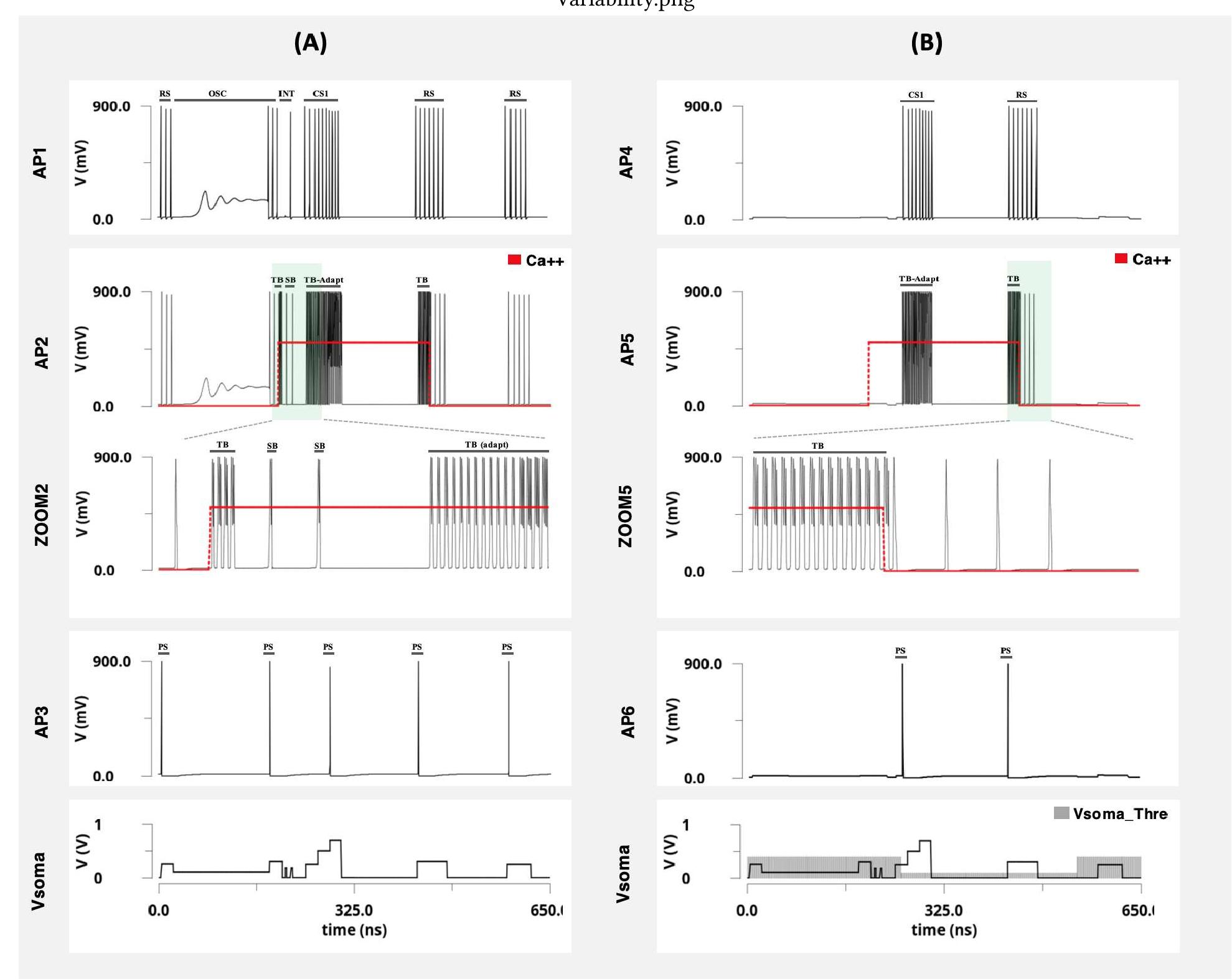 (PDF) Neuromorphic Circuits With Neural Modulation Enhancing the ...