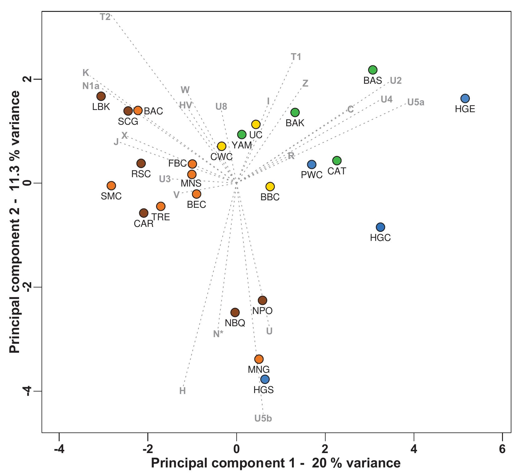 K Massive Migration From The Steppe | PDF | Dna Sequencing