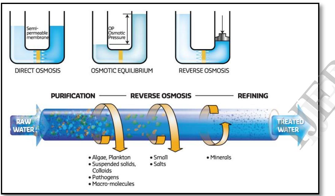 : reverse osmosis process [7] reverse osmosis is a