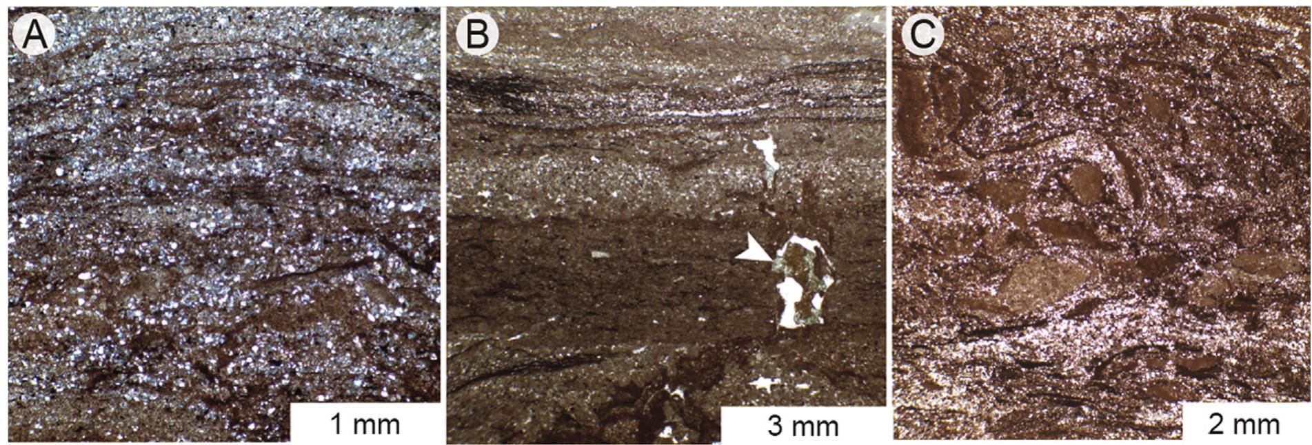 (PDF) Iron-rich carbonate tidal deposits, Angepena Formation, South ...