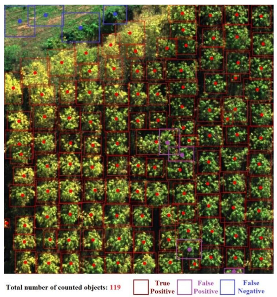 (PDF) Deep learning based poplar tree detection and counting using ...