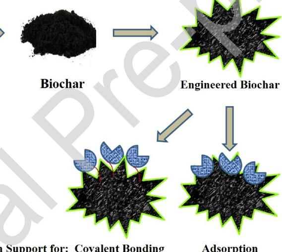 Figure 1 - Biochar: Production, properties and emerging role