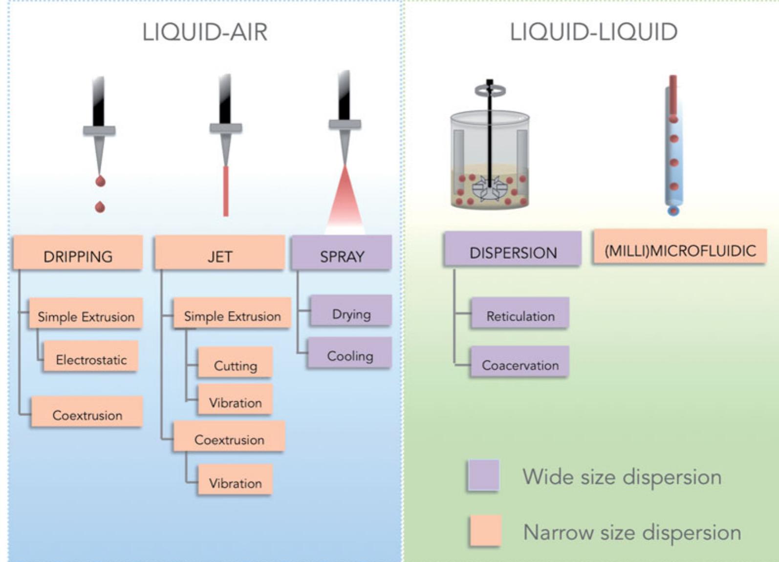 (PDF) Oil encapsulation techniques using alginate as encapsulating ...