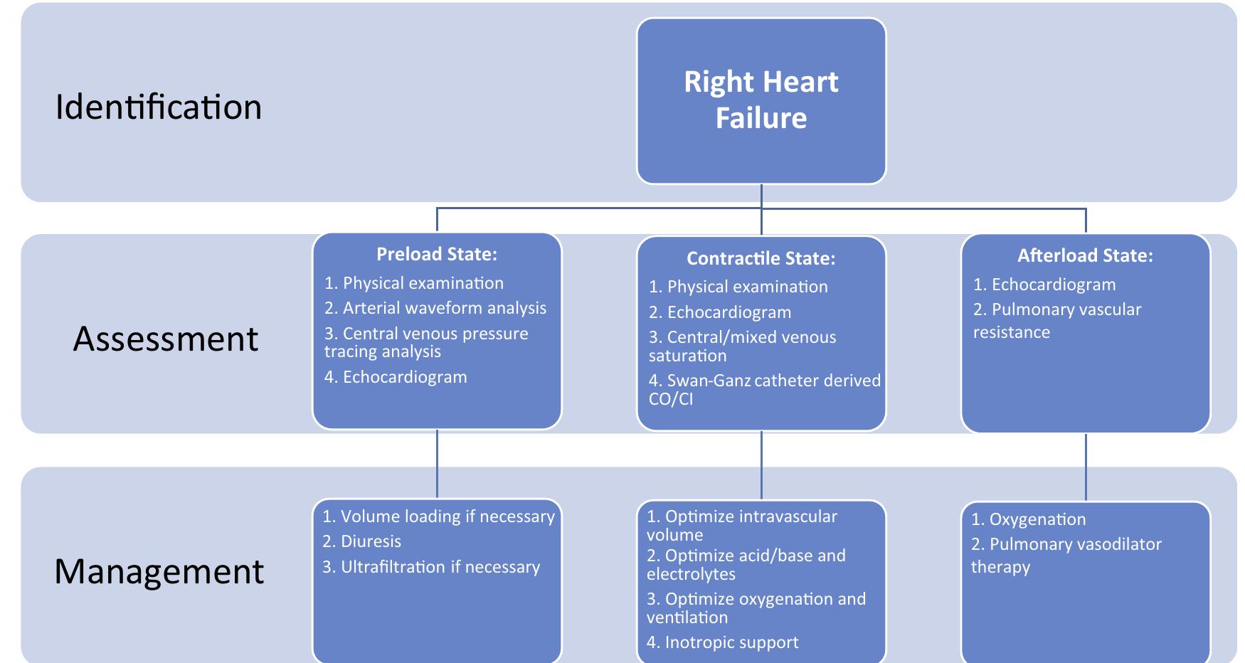 (PDF) Management of Right Heart Failure in the Intensive Care Unit