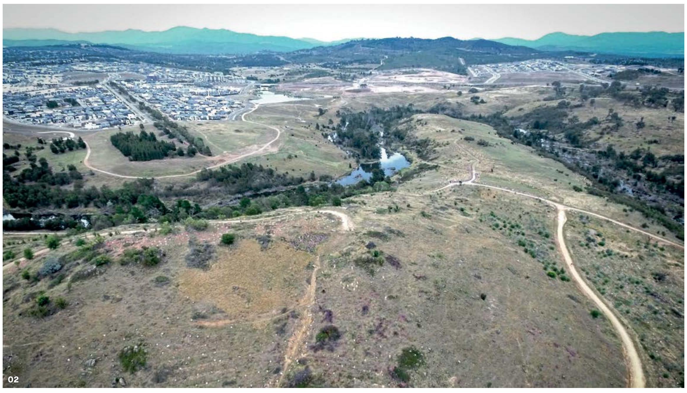 use of dynamic computational models to  simulate relationships within more-than- human communities, at landscape scales and for durations that encompass several generations of trees. 