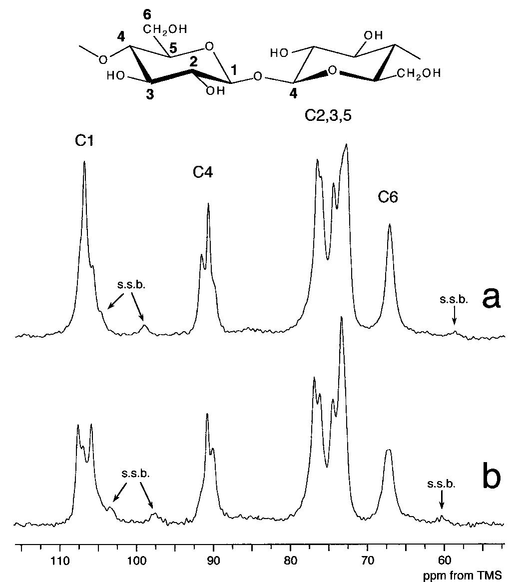 Figure 1 - from CP/MAS 13C NMR Study of Cellulose and