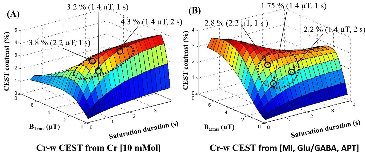 (PDF) Evaluating the feasibility of creatine‐weighted CEST MRI in human ...