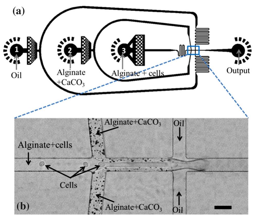 (PDF) Microfluidic encapsulation of cells in alginate particles via an ...