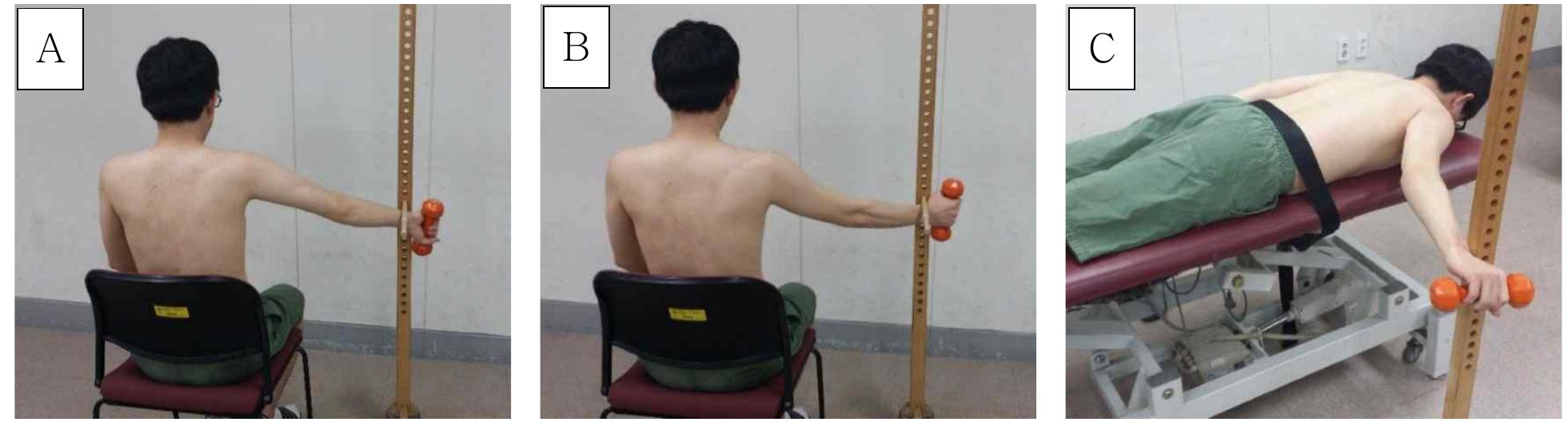 PDF Comparison Of Supraspinatus Muscle Architecture During Three pdf-comparison-of-supraspinatus-muscle-architecture-during-three