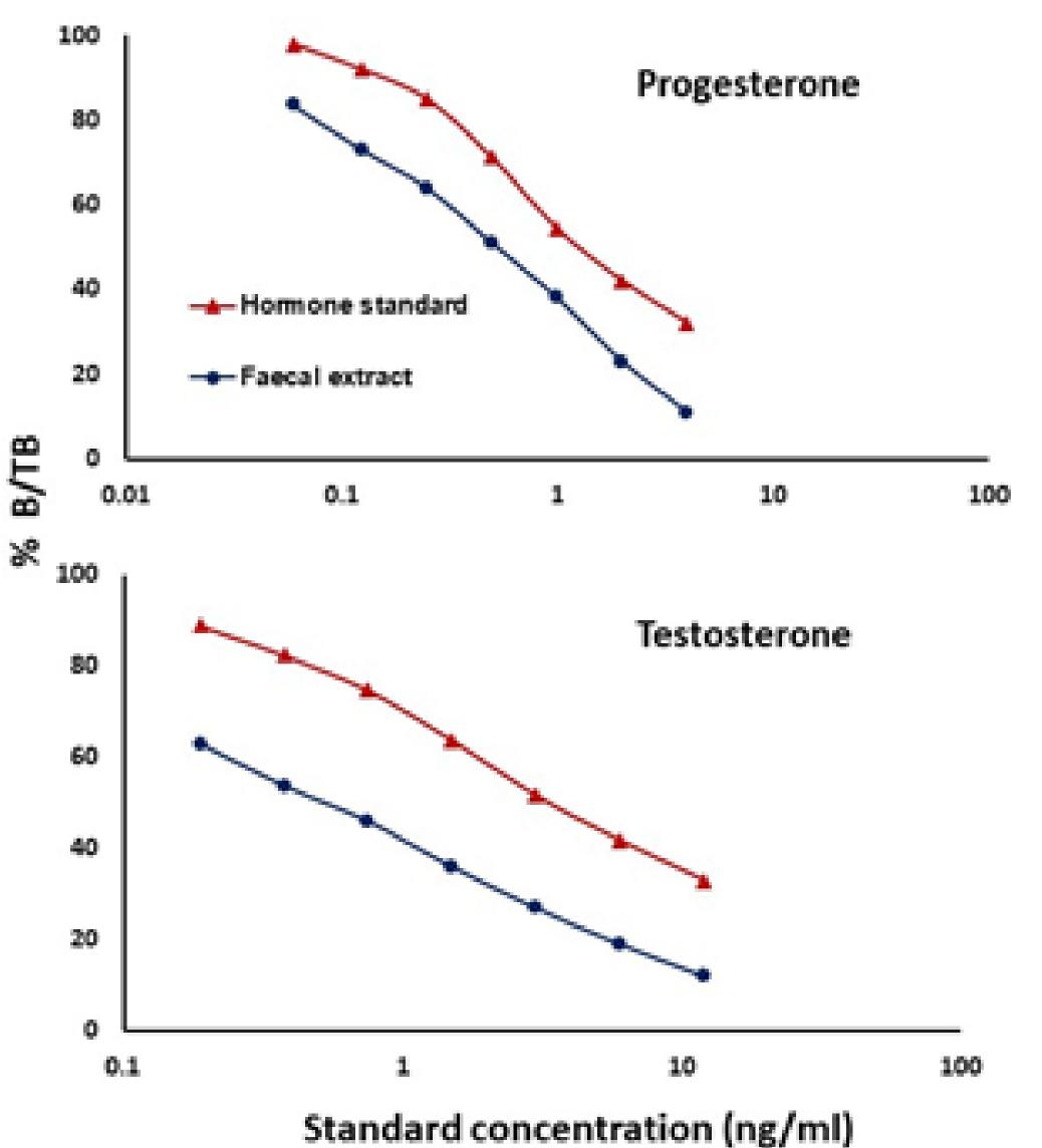 Figure 1. Parallelism between the serial dilution of pooled fecal extracts of pygmy hogs (circles) and the respective standards (triangles) of progesterone and testosterone. The Y axis show percentage binding / total binding (% B/TB) and X axis show standard concentration (ng/mL).  Figure 1. Parallelism between the serial dilution of pooled fecal extracts of pygmy hogs (circles) and 