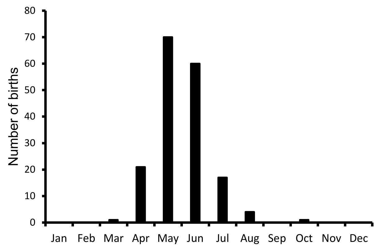Figure 6. Distribution of births of pigmy hogs in PHCP, Guwahati. About 172 births were recorded between April 1996 and July 2020, including those of three wild-caught females. 