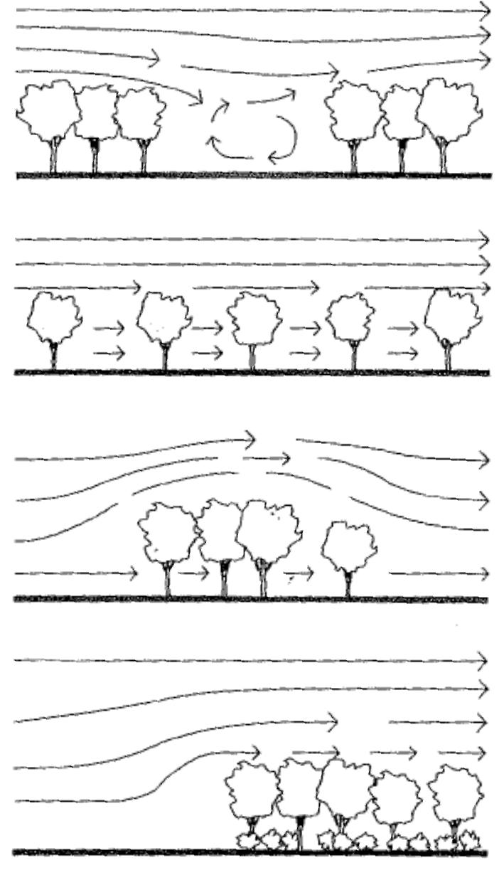 (PDF) Thermal comfort in outdoor urban spaces:The hot arid climate