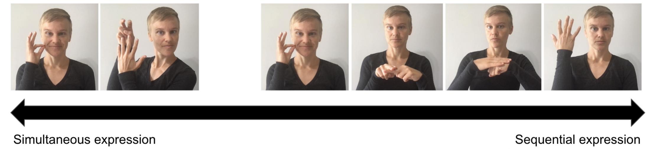 Fact Asl Figure 6 - from Translanguaging Framework for Deaf Education
