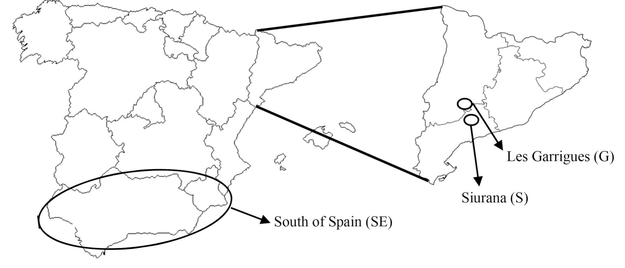 (PDF) Authentication of the geographical origin of extra-virgin olive ...