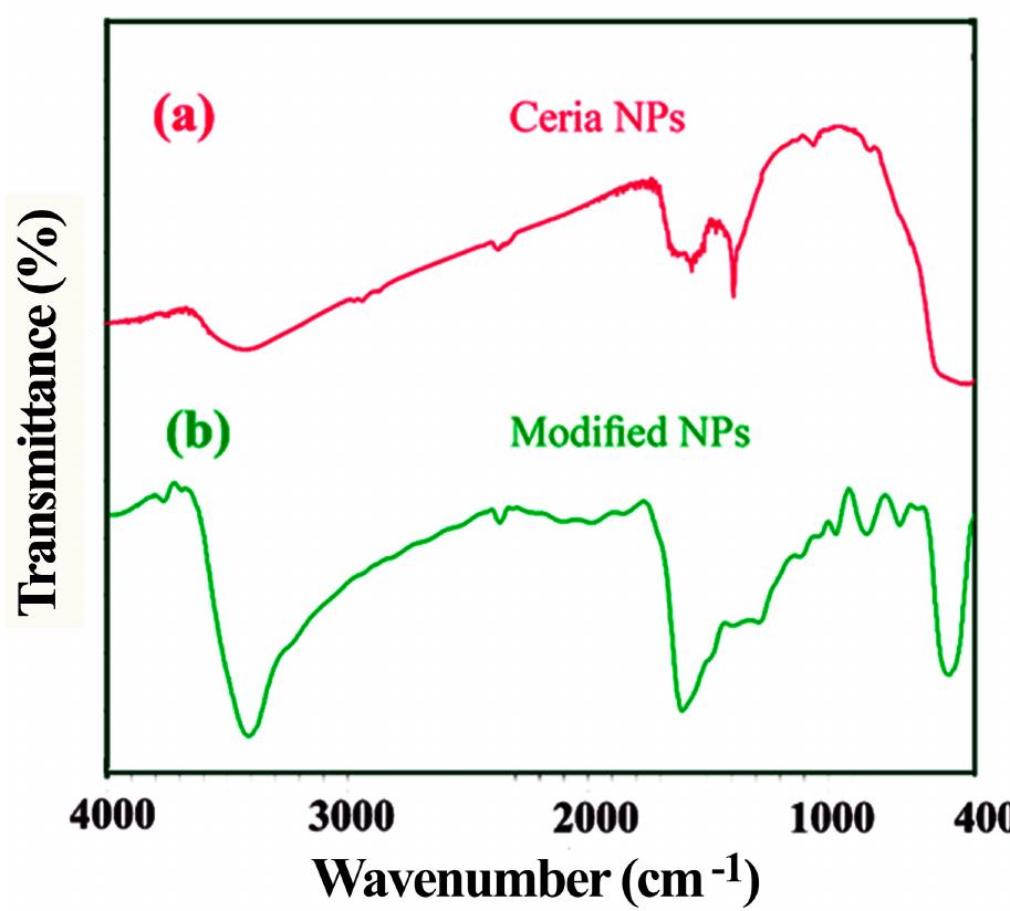Figure 5 - from Ring Opening Polymerization Used for the