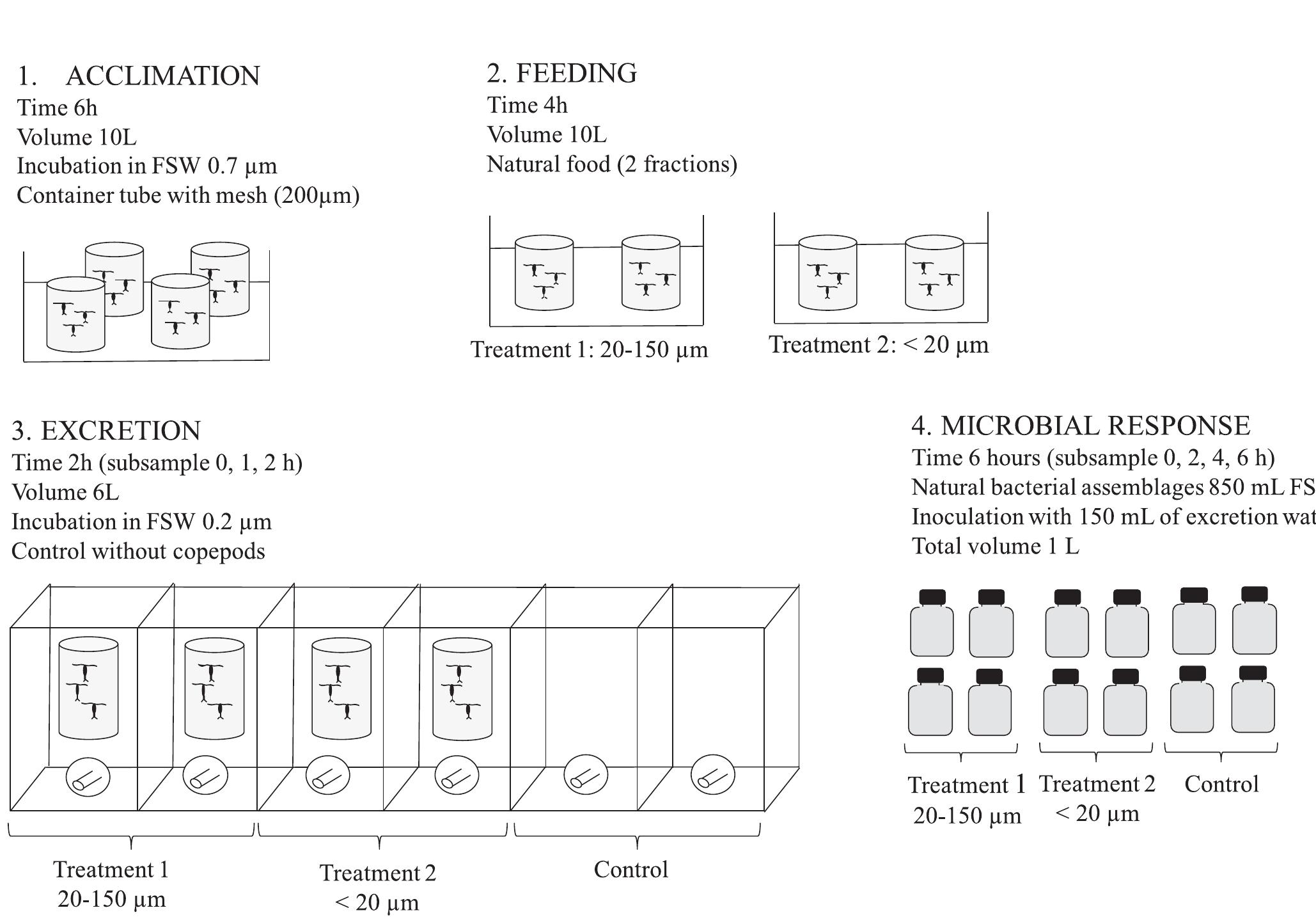 (PDF) Nitrogen excretion by copepods and its effect on ammonia ...
