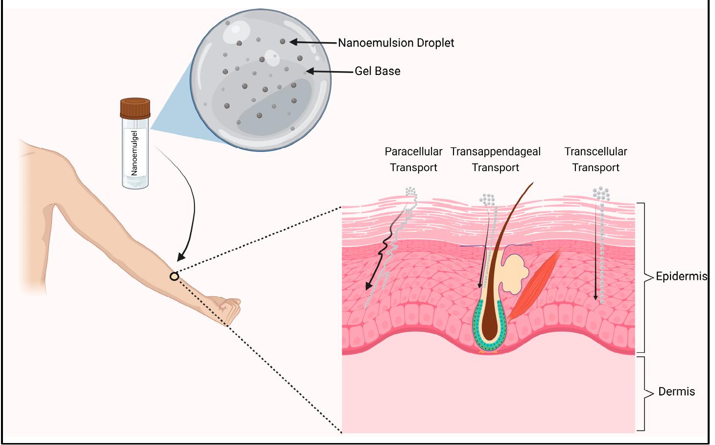 (PDF) An Overview of Nanoemulgels for Bioavailability Enhancement in ...