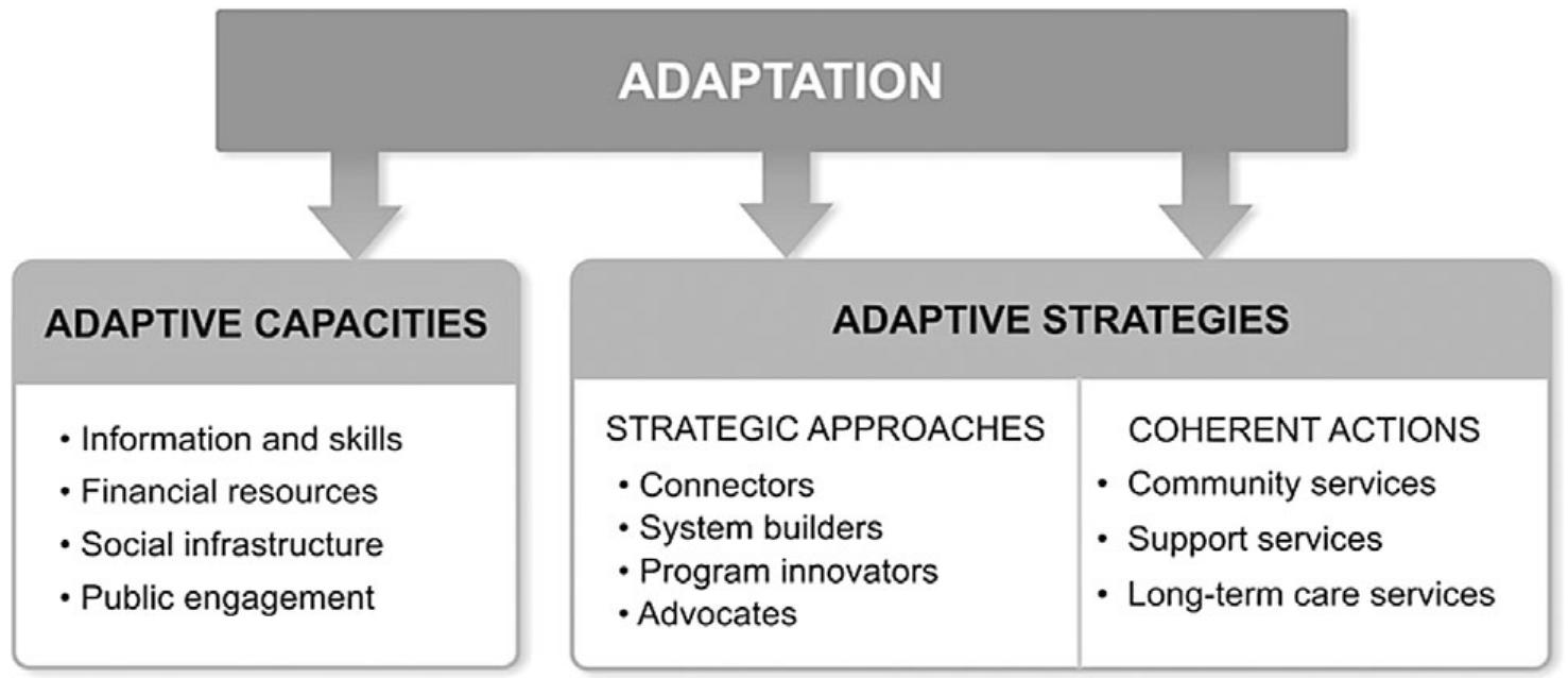 Methods Subcategories Subcategories for the adaptation of local actors. source: