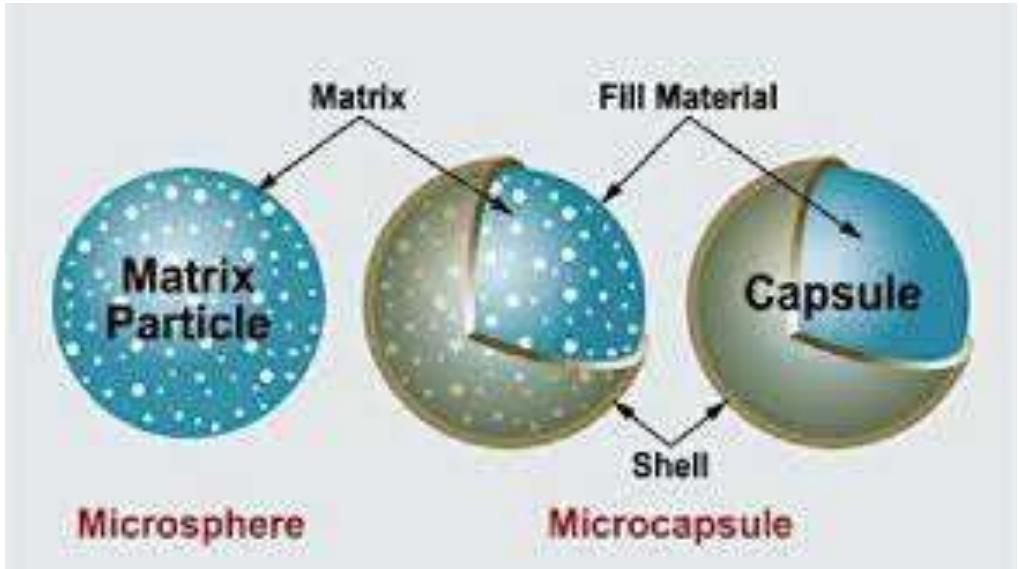 (PDF) Magnetic Microsphere as Novel Drug Delivery System: A Review