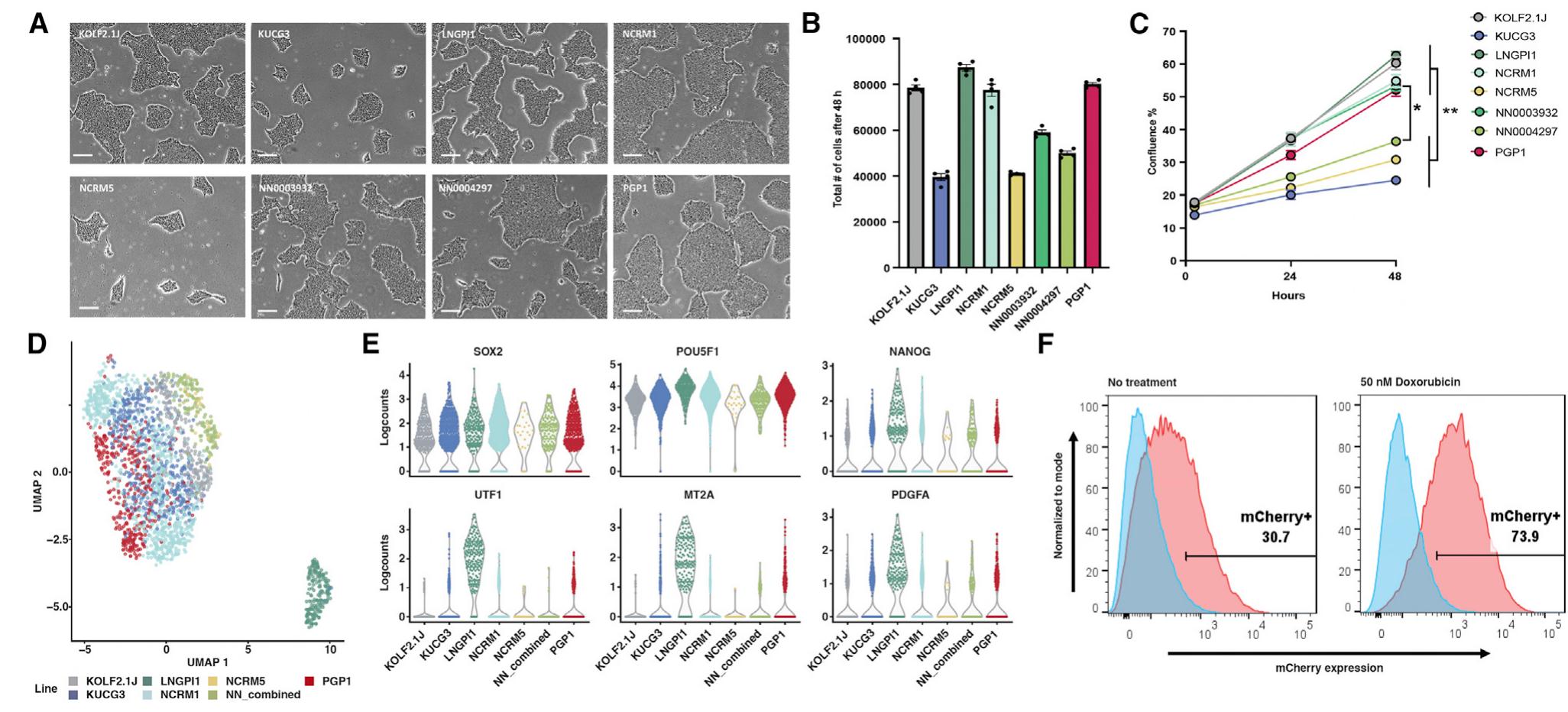 (PDF) A reference human induced pluripotent stem cell line for large ...