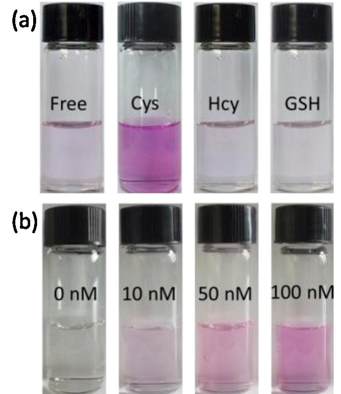 Probe Visual Point Figure 2 - from A visual and “turn-on” fluorescent probe for