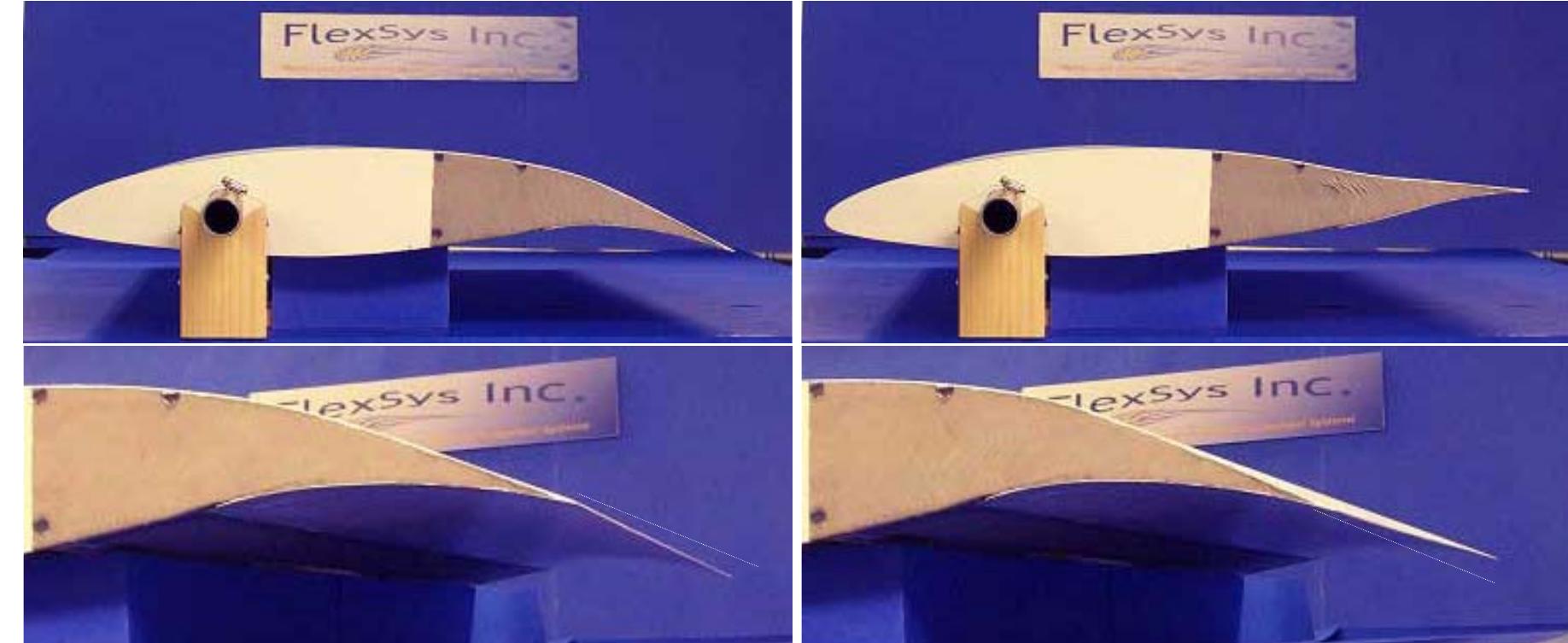 Figure 1 - from Flight Testing of Mission Adaptive Compliant