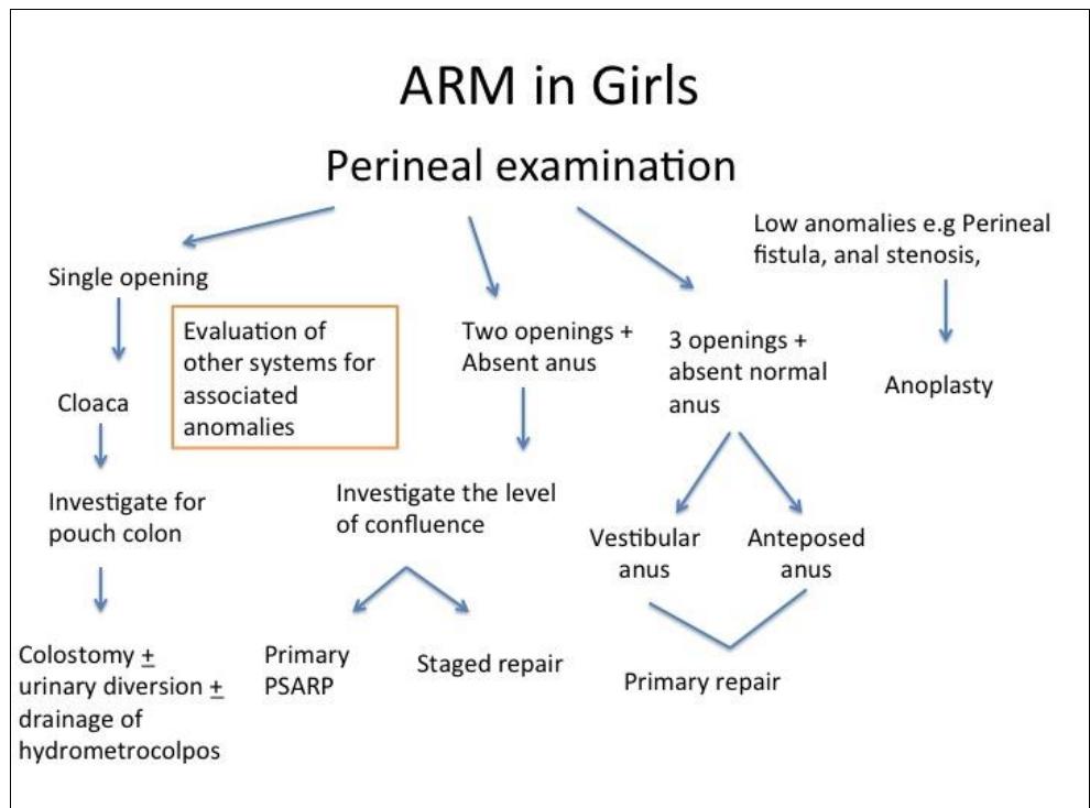 Birthing Algorithm (PDF) Anorectal Malformations (Part 2)