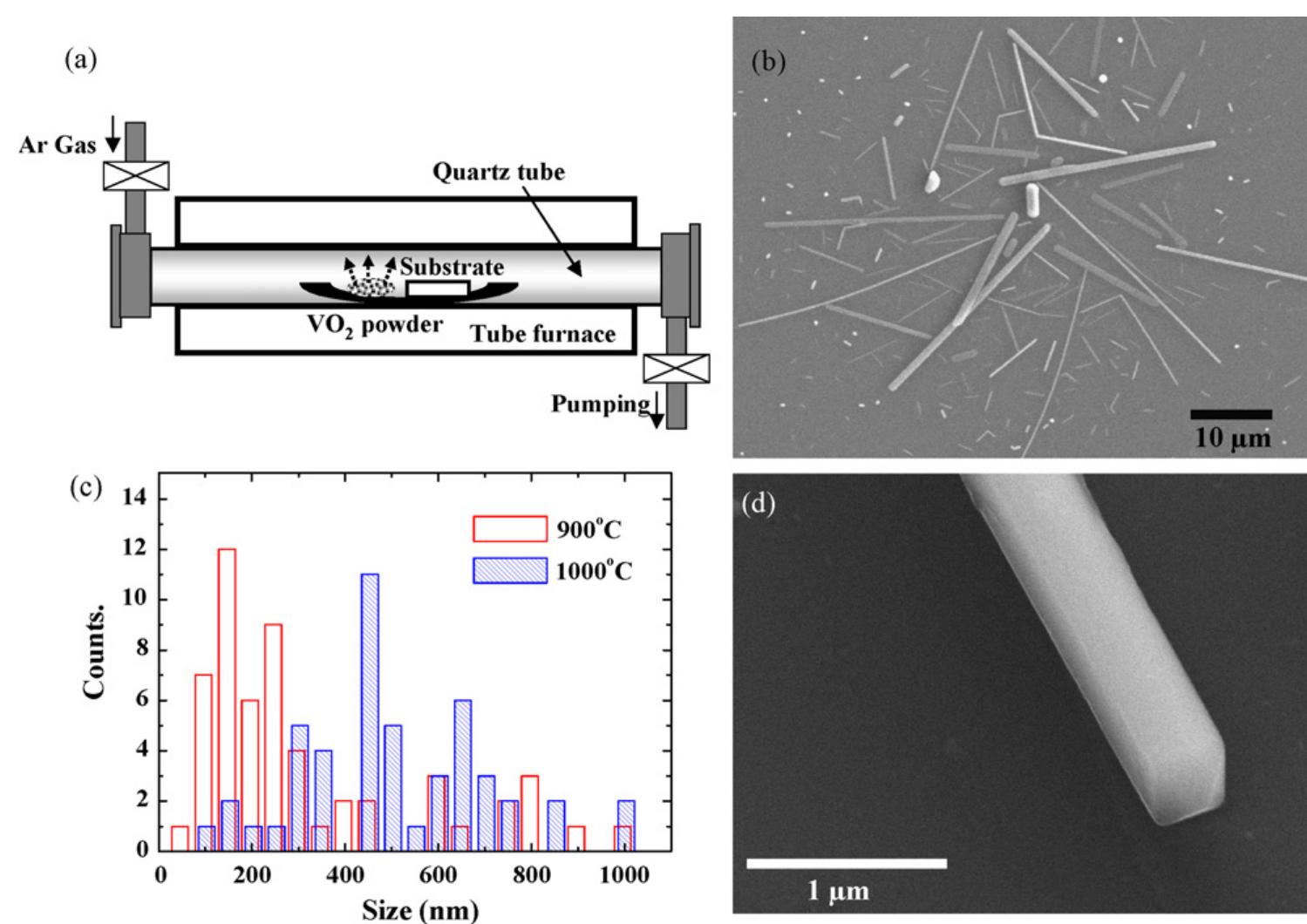 (a) schematic diagram of nanowire growth reactor. (b) sem