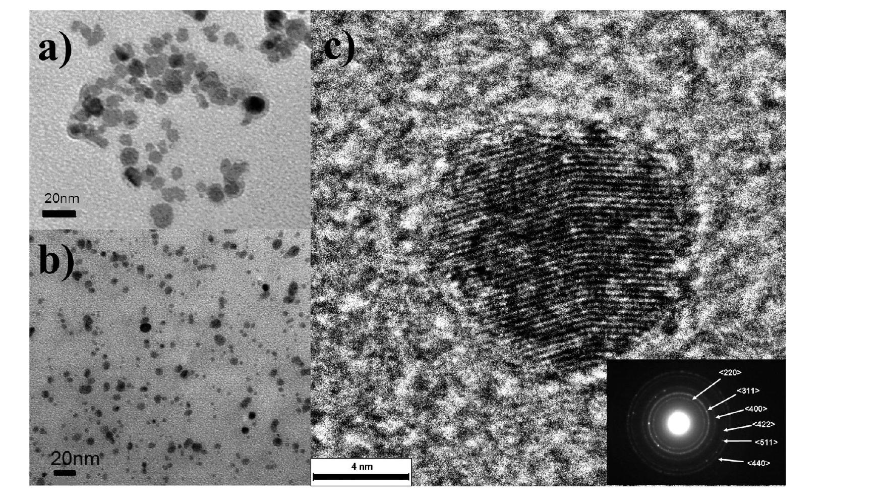(PDF) Stability and Relaxation Mechanisms of Citric Acid Coated ...