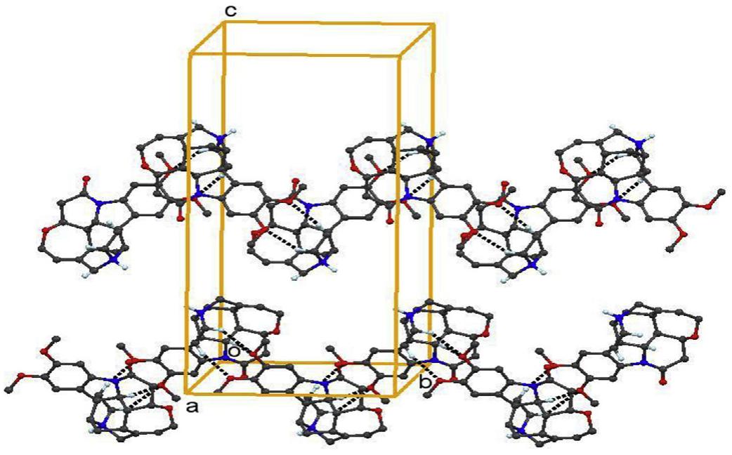 Part of the crystal structure of bcdh showing the formation