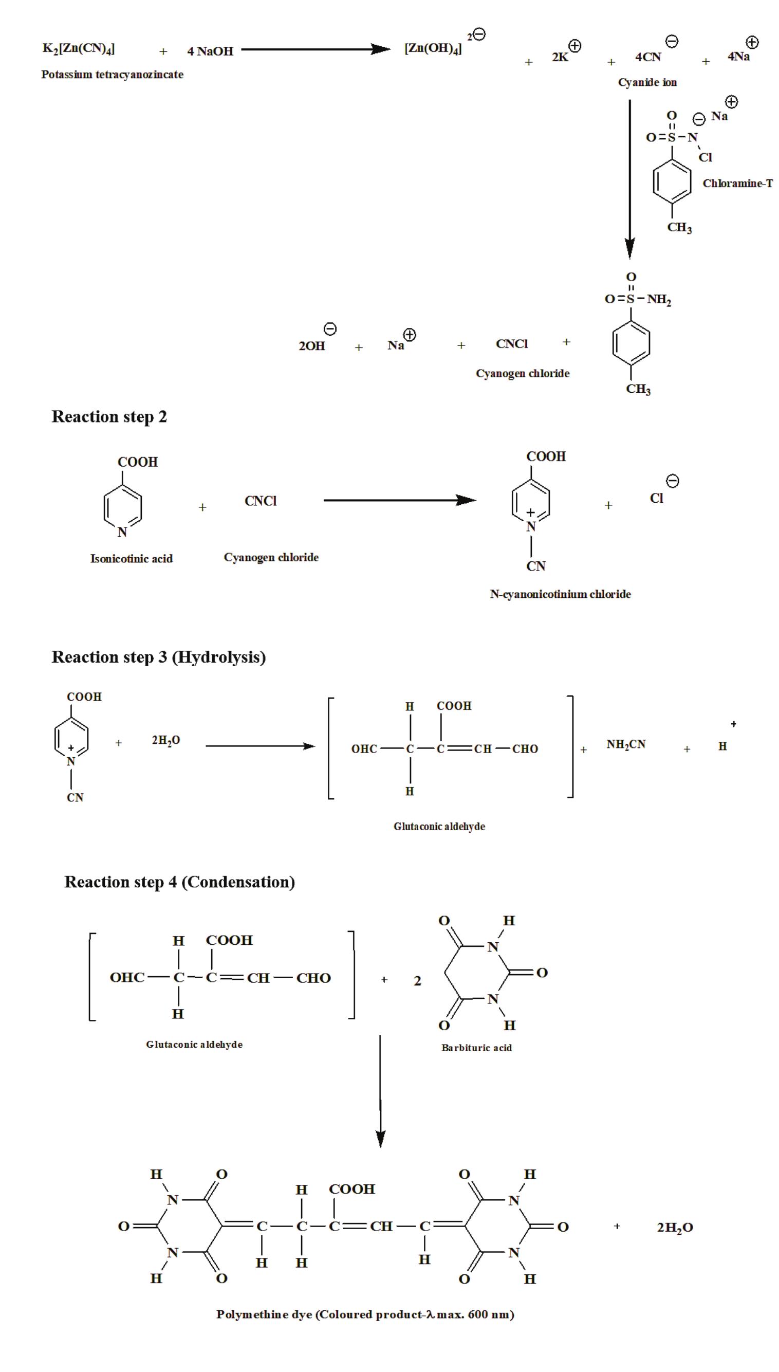 Scheme of the reaction mechanism during the measurement of