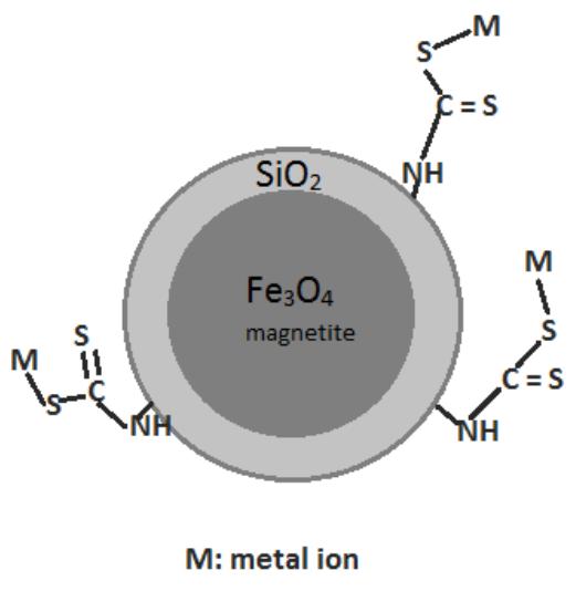 (PDF) Silica coated magnetite nanoparticles for removal of heavy metal ...