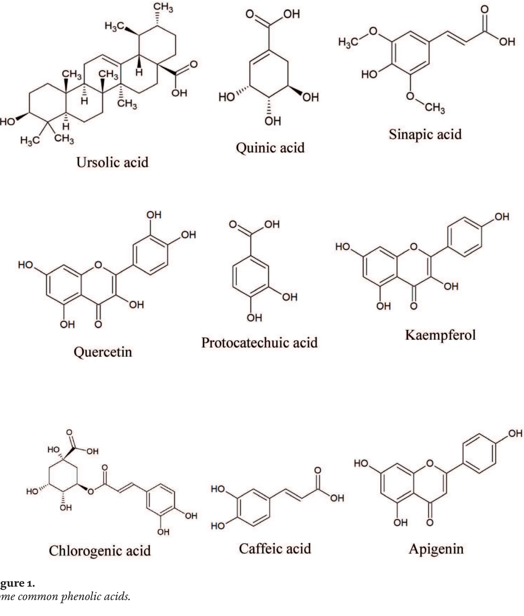 (PDF) Bioactive Phenolic Compounds from Indian Medicinal Plants for ...