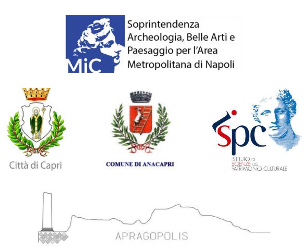 Progetto scientifico e coordinamento: Luca Di Franco, Rosaria Perrella. 