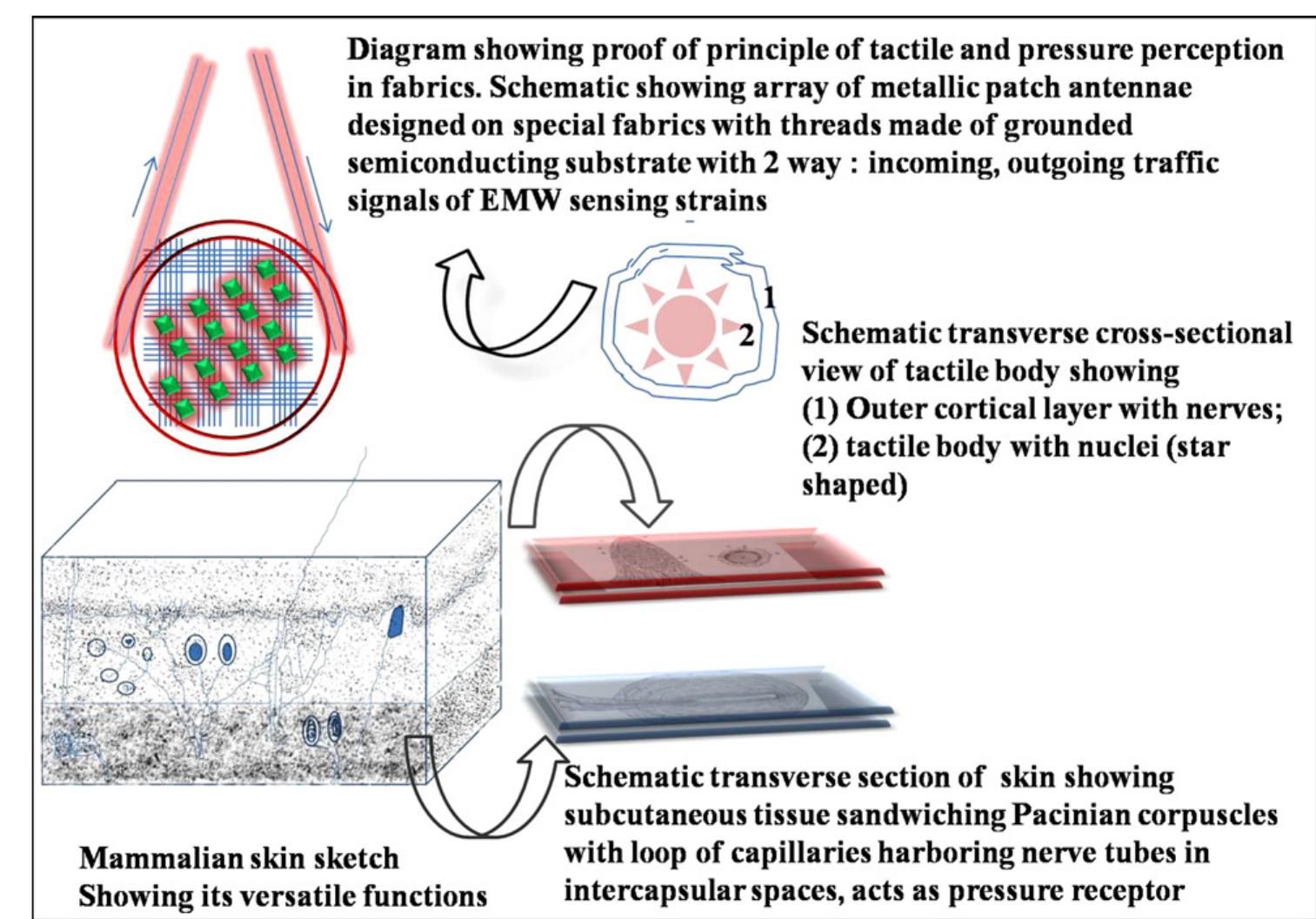 (PDF) Bio-inspired approaches to design smart fabrics