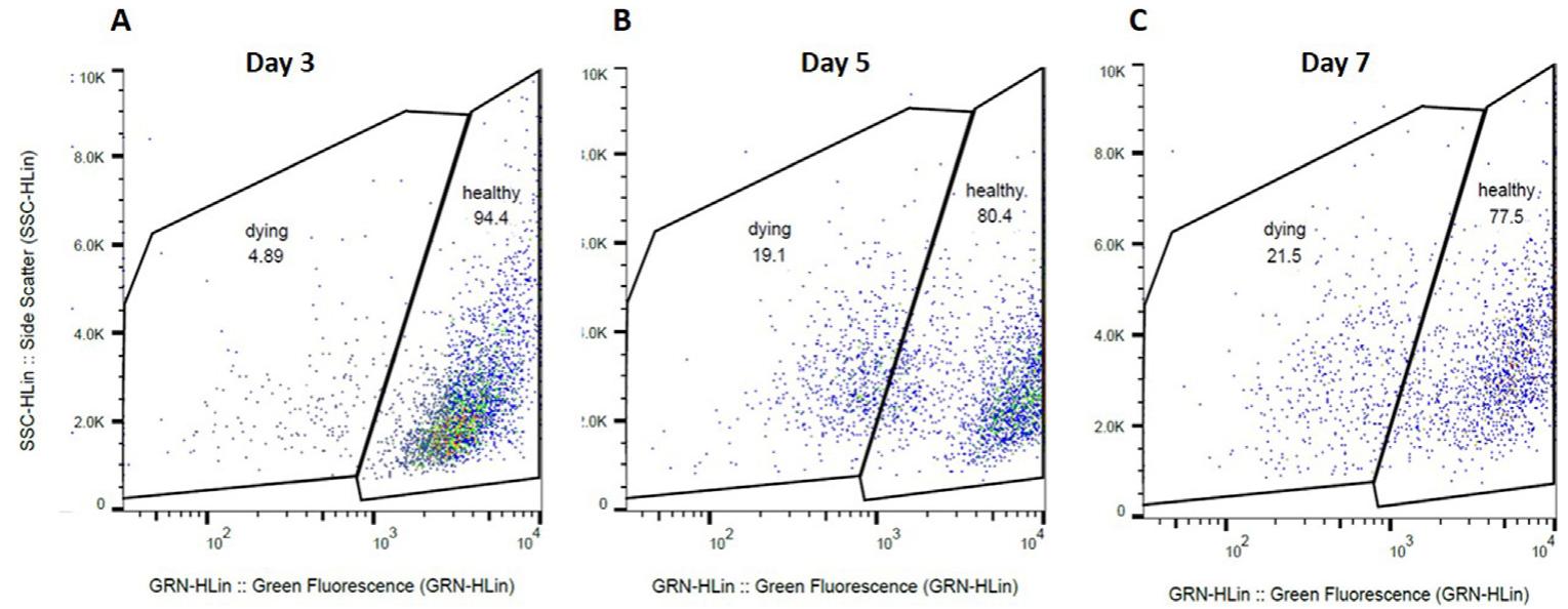 Flow cytometry analysis of 25 x 103 a549 spheroids.