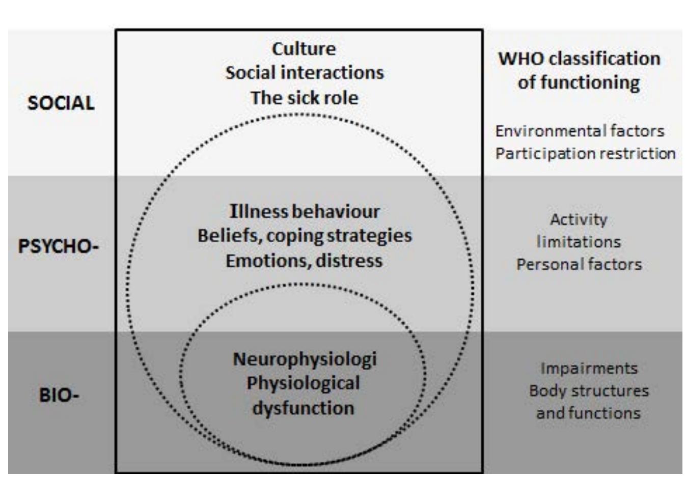 The biopsychosocial model of disability with components of