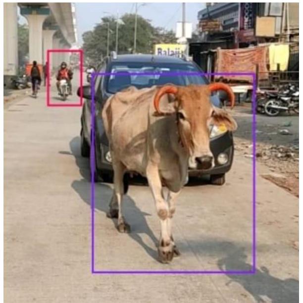 (PDF) Animal Detection for Vehicle