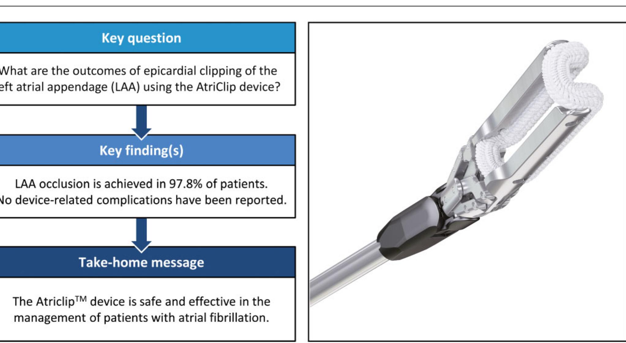 (PDF) Outcomes of left atrial appendage occlusion using the AtriClip ...