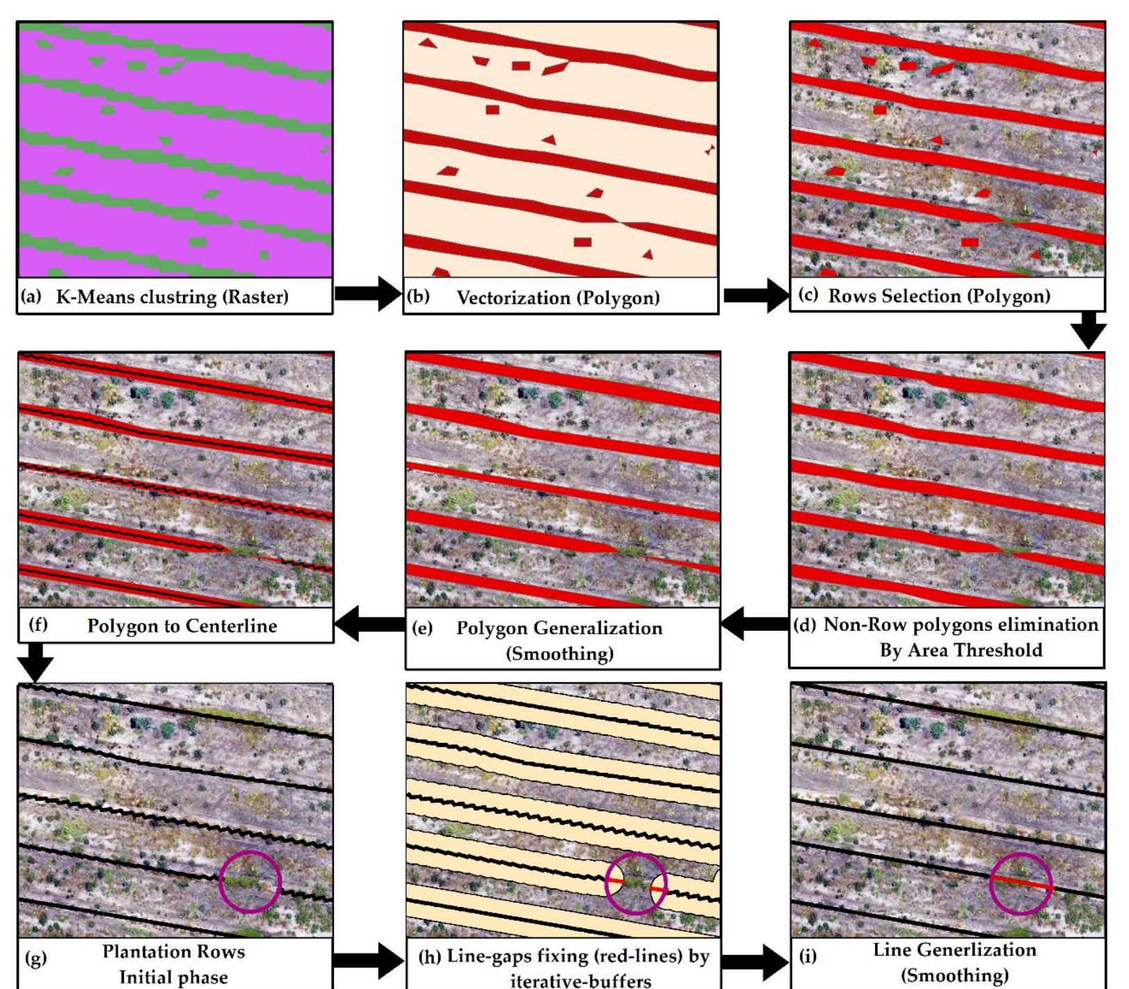 (PDF) Integration of Remote Sensing and GIS to Extract Plantation Rows ...