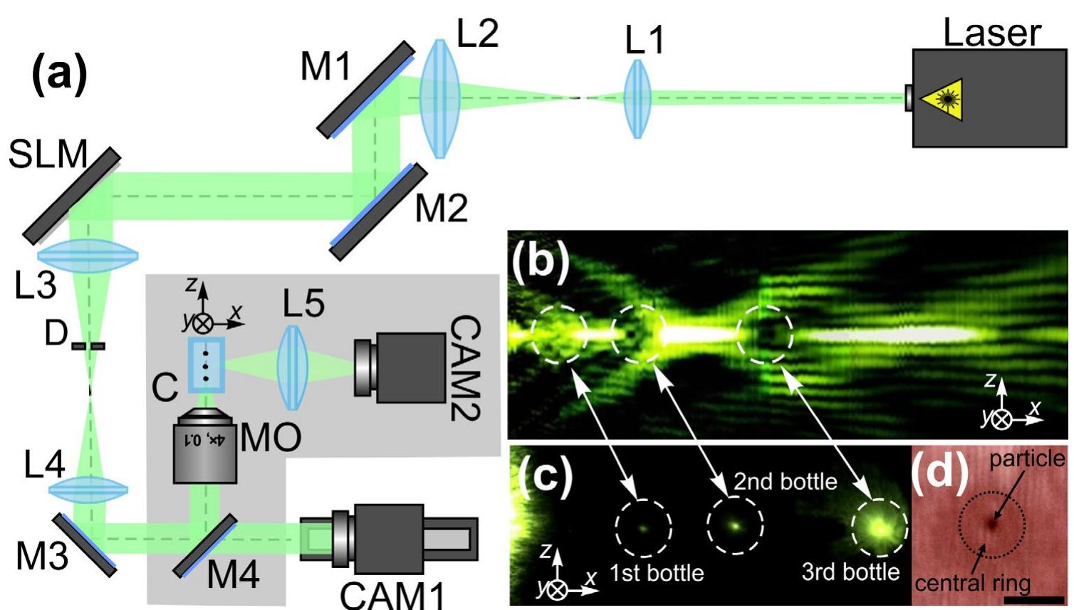(PDF) Optical Bottle Shaping Using Axicons with Amplitude or Phase ...