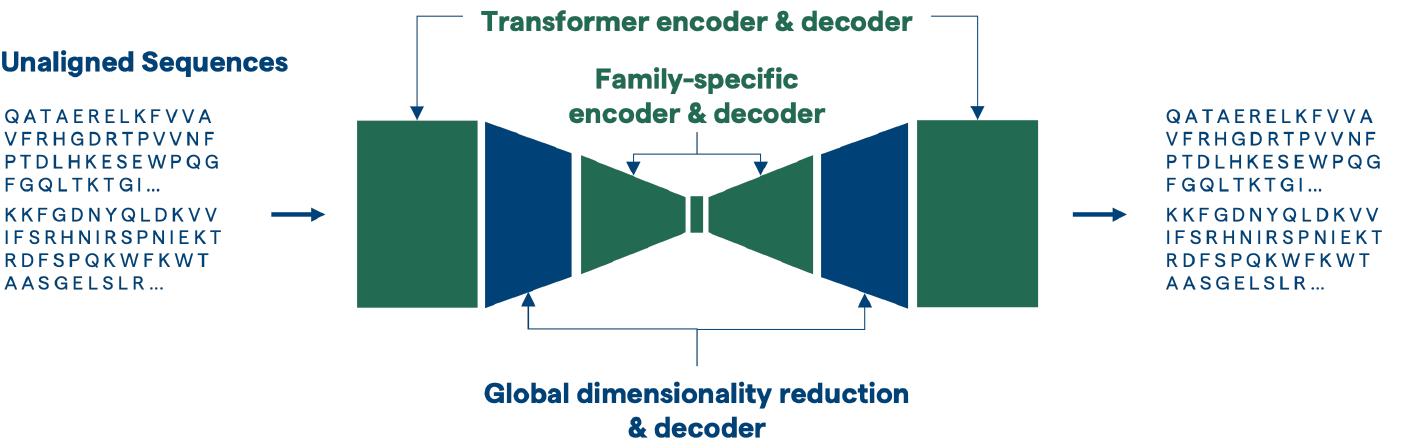 (PDF) ProT-VAE: Protein Transformer Variational AutoEncoder for ...